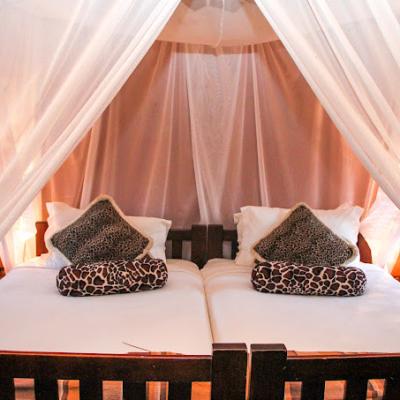Safari Suite 4